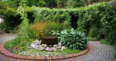 Courses in Garden Design